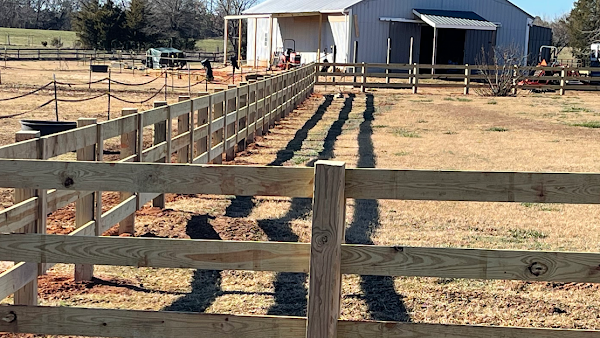 3 board with facing on square posts Horse fence 